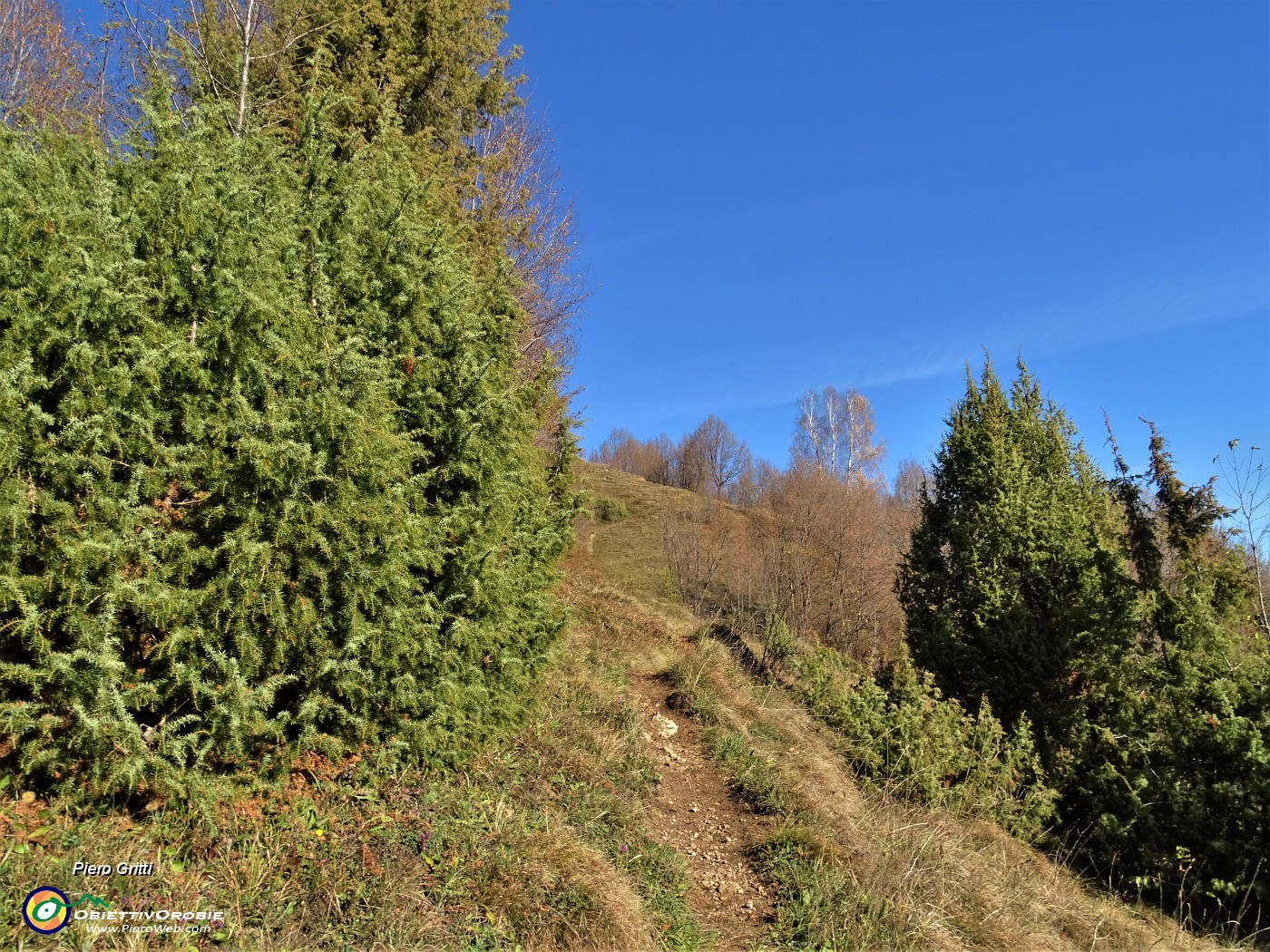 38 Rada vegetazione di prevalenti  piante di ginepro.JPG